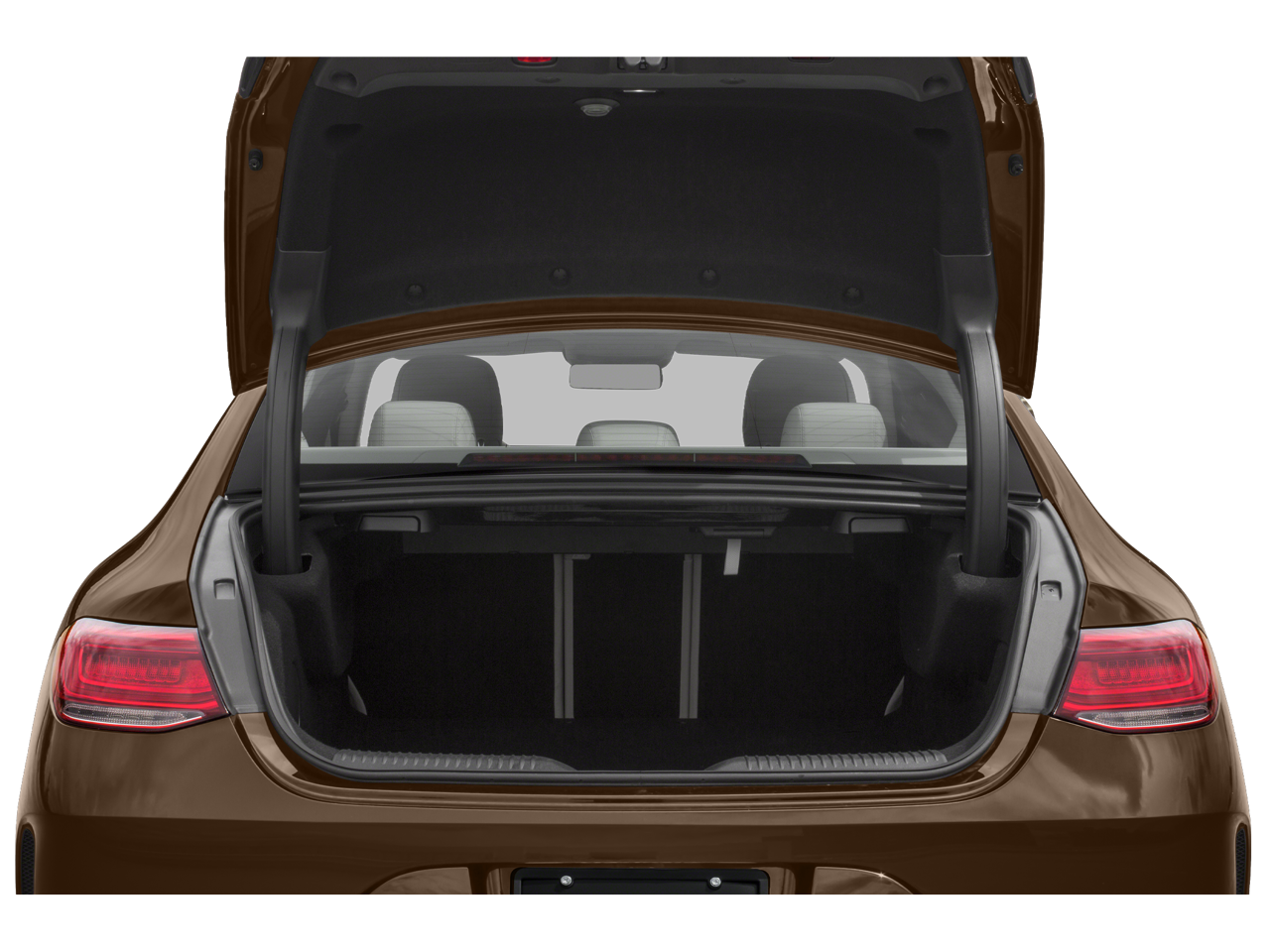 2019 Mercedes-Benz CLS CLS 450 4MATIC®