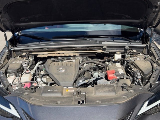 2024 Lexus NX 350 Premium