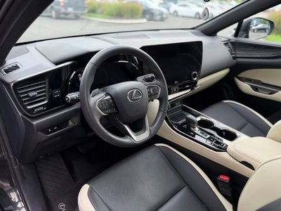 2024 Lexus NX 350 Premium