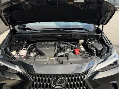 2024 Lexus NX 350 Premium