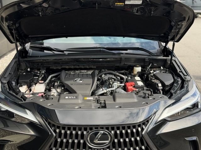 2024 Lexus NX 350 Premium