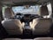 2021 Honda Passport Elite