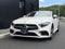 2019 Mercedes-Benz CLS CLS 450 4MATIC®